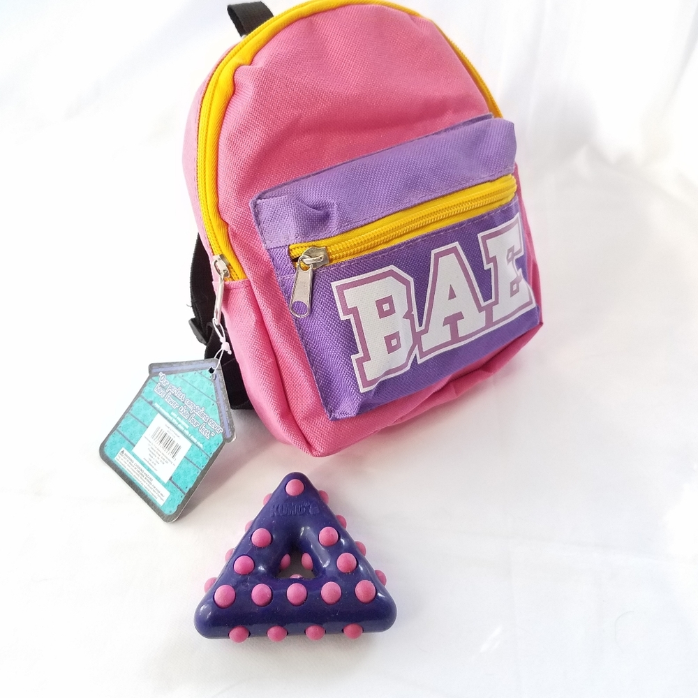 Pet backpack and Kong chew toy